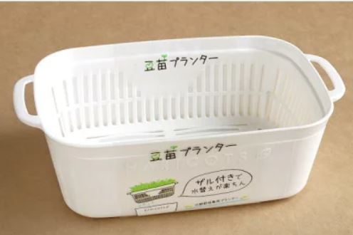 岐阜県関市　整理収納アドバイザー　KuraRaku　片づけ　整理整頓　豆苗プランター